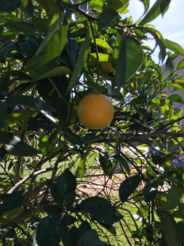 GetAways at Vista Mirage Resort image 23